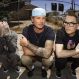 blink-182 one more time review album new listen stream
